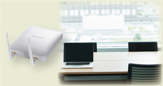 Dual Band Wireless Access Point