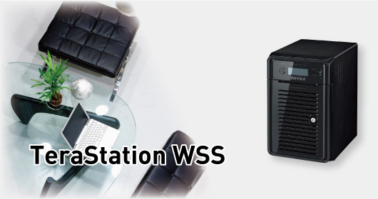 TeraStation WSS series