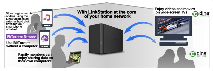 etc prangende Forstå LinkStation™ 421DE High Performance Double-drives RAID Network Storage  forhome - office_nas - double_drive | BUFFALO GLOBAL
